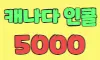 캐나다5000 스페셜 배너