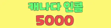 캐나다5000 프리미엄배너