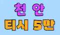 사쿠라 스페셜 배너