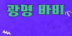 루이14세 플래티넘 배너