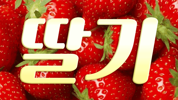 쇼 스페셜 배너