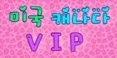 에블린 인터네셔날 플래티넘 배너