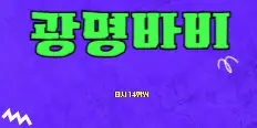 루이14세 플래티넘 배너