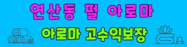 다다테라피 프리미엄배너