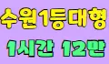 벨라 스페셜 배너